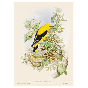 Postikortti John Nurminen - Keltainen lintu
